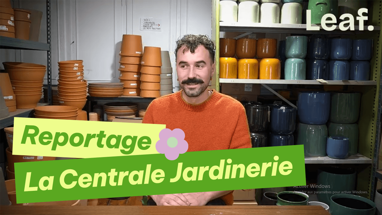 Reportage La Centrale Jardinerie