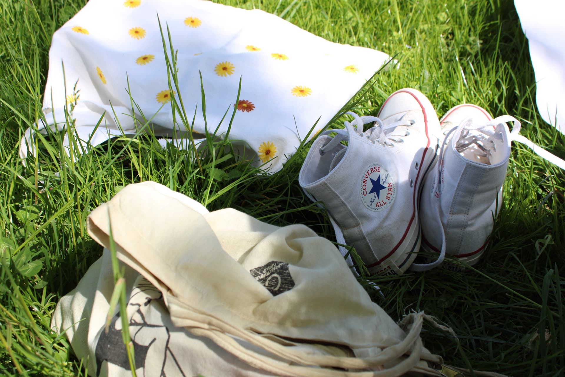 Pique-nique Ensoleillé 