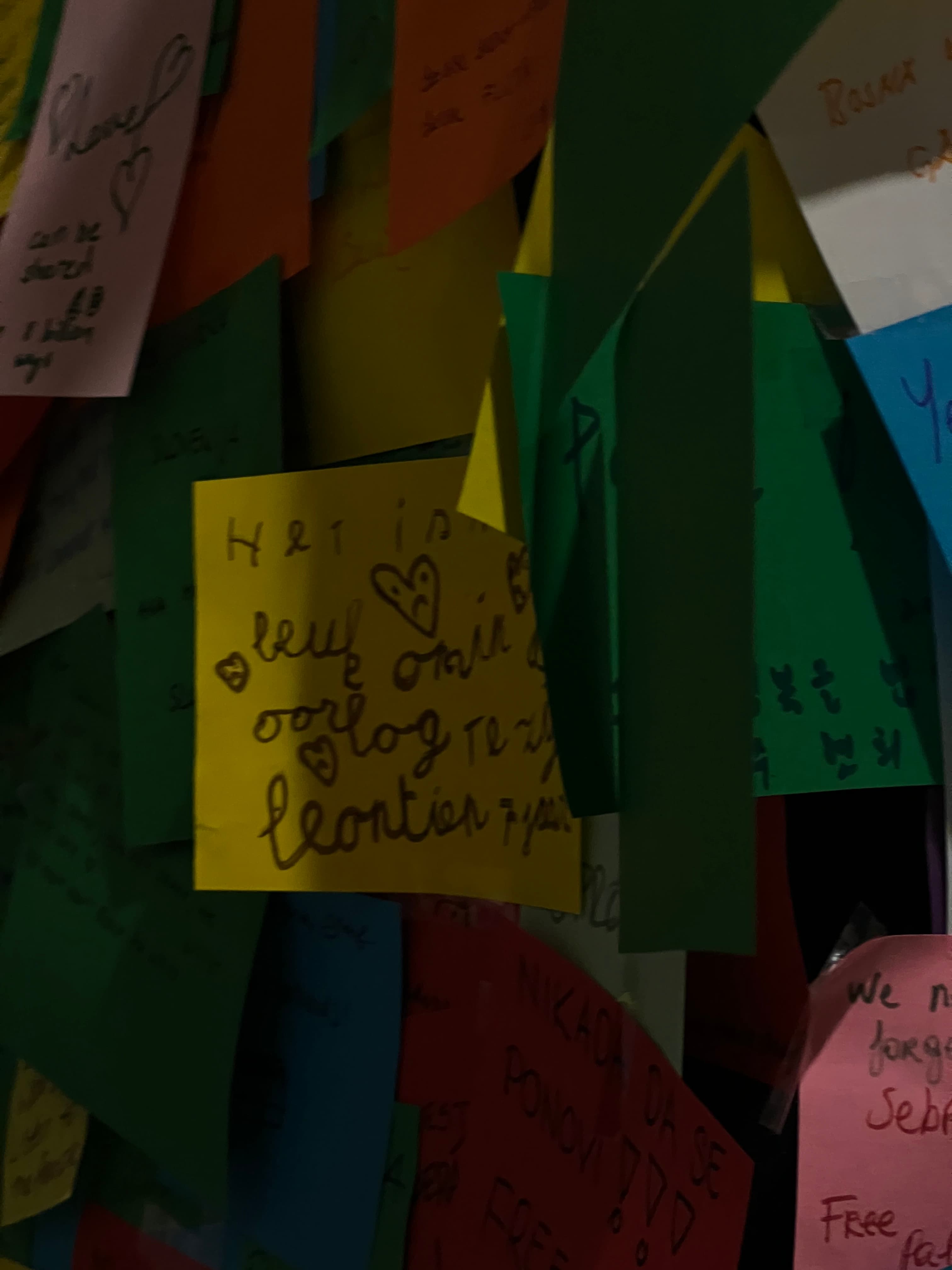 IMG_4983.jpeg