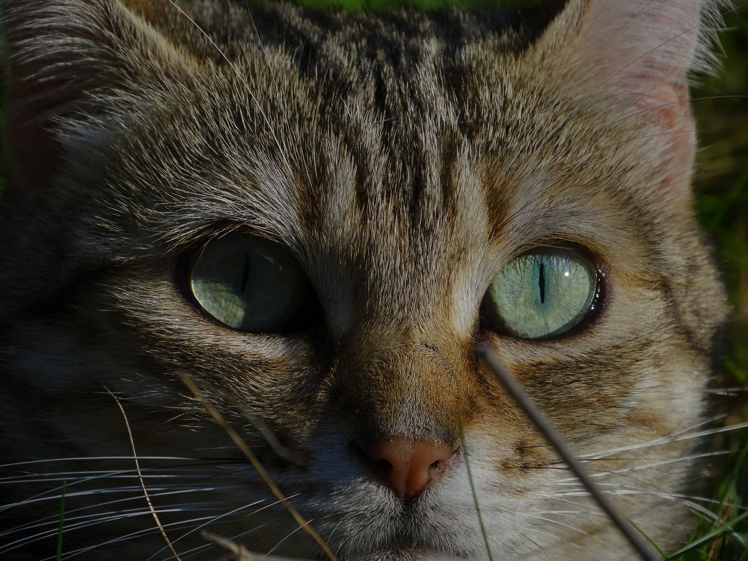 DSC01362.JPG