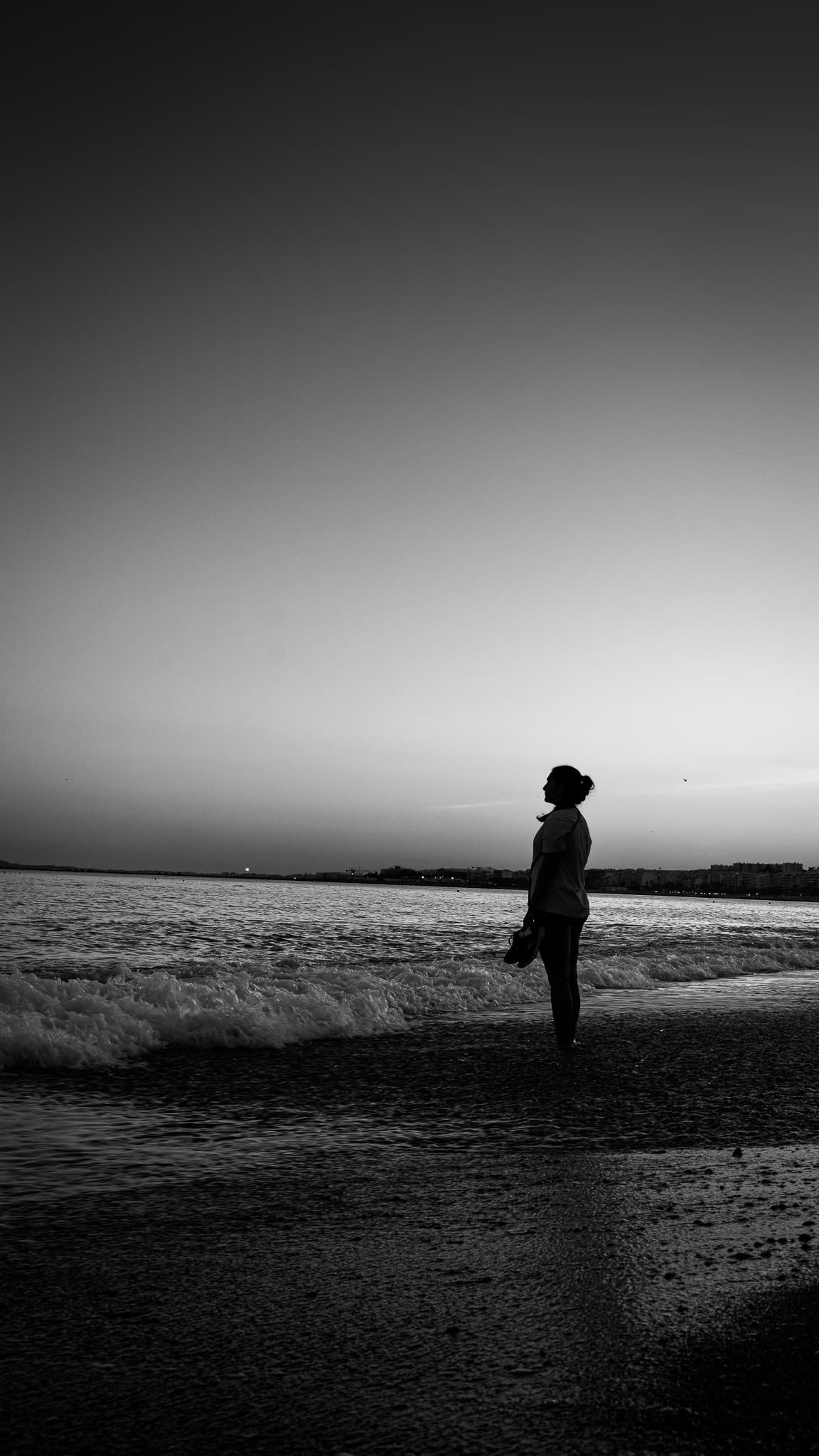 P1041383-2.jpg