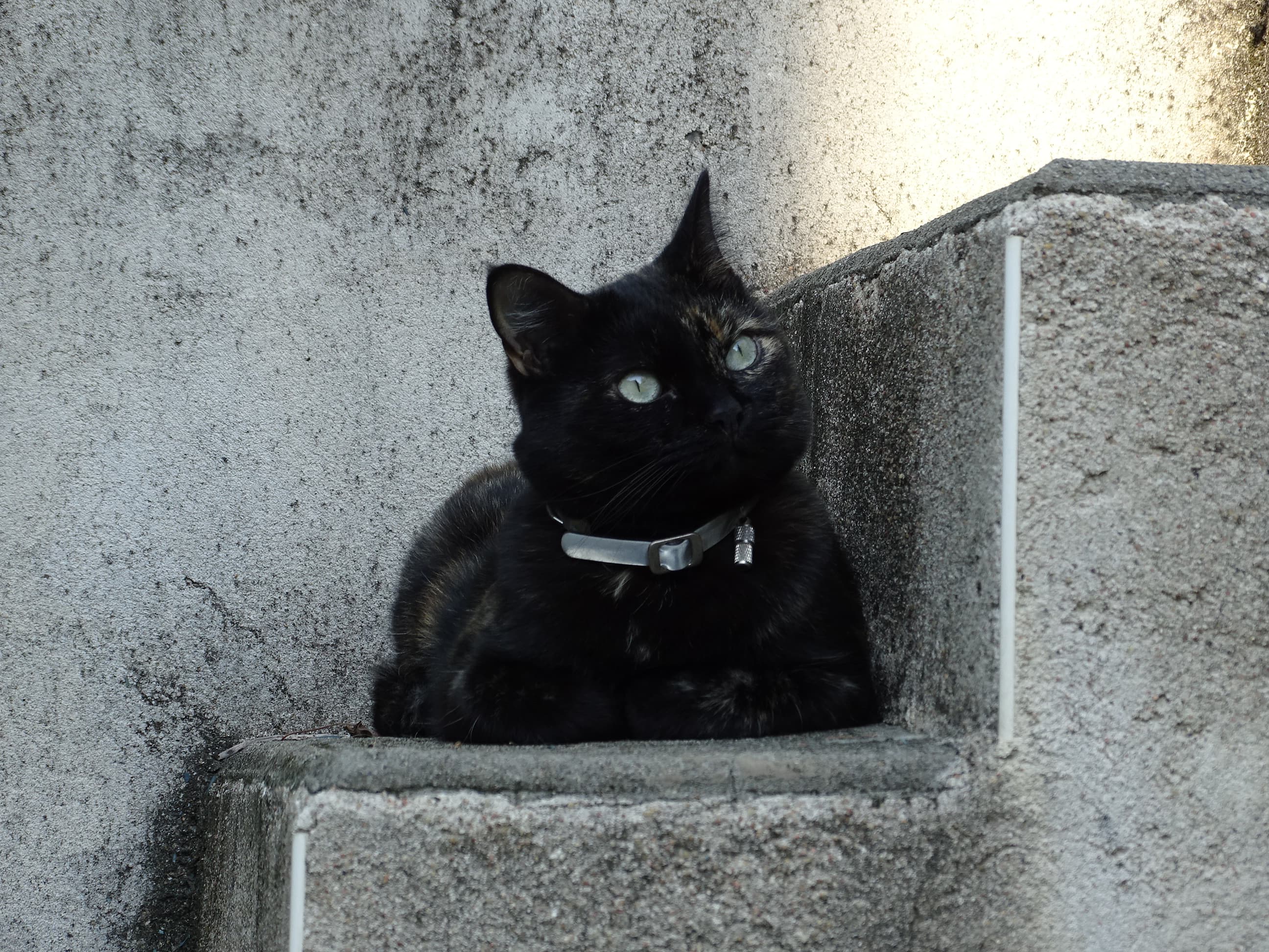 DSC01299.JPG