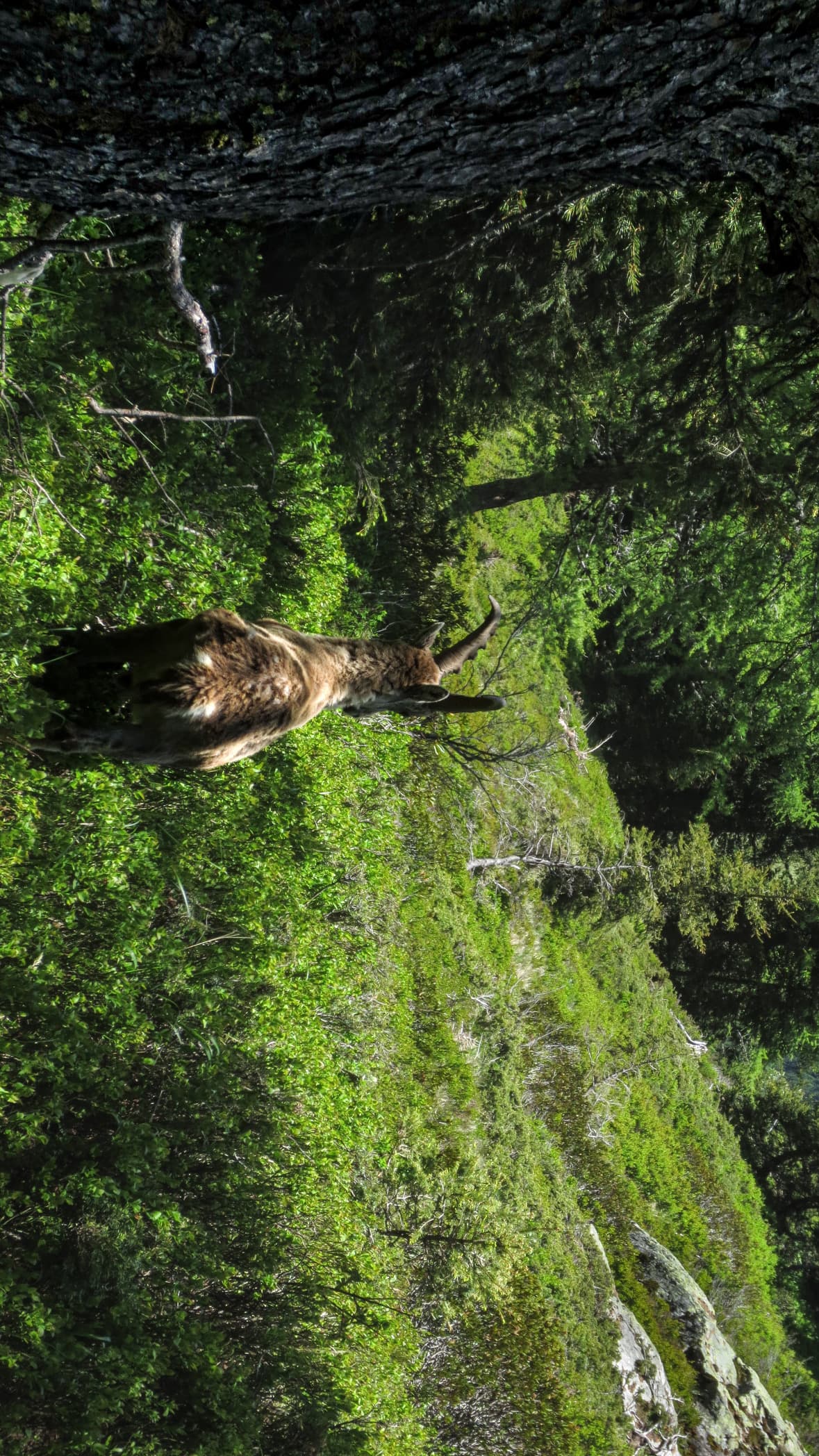 9D505562-A408-4D32-8A86-632B4F8A35B8.jpg